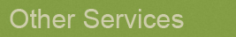 Other Services